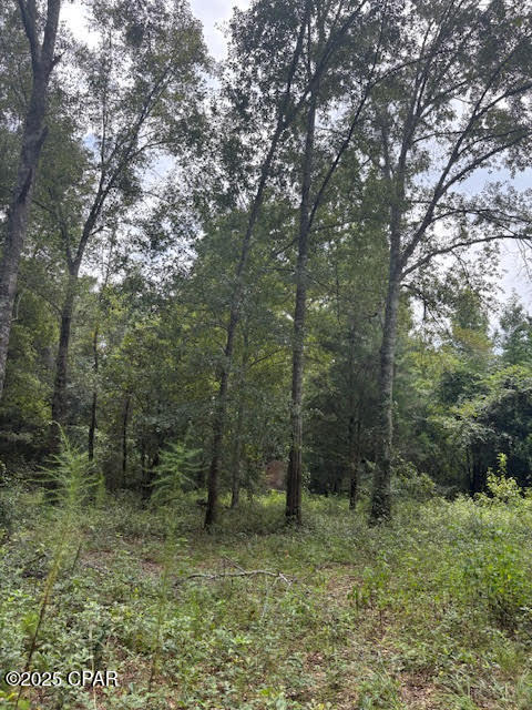 Image 47 For 4600 Pine Grove Church Road