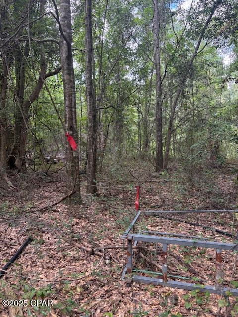 Image 48 For 4600 Pine Grove Church Road