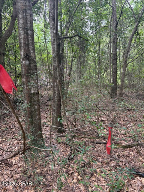 Image 49 For 4600 Pine Grove Church Road