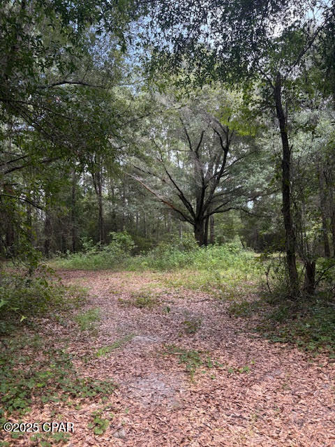 Image 50 For 4600 Pine Grove Church Road