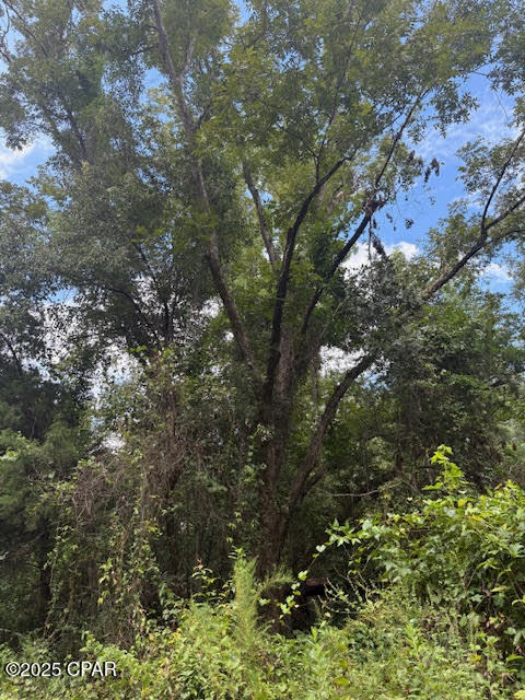 Image 51 For 4600 Pine Grove Church Road