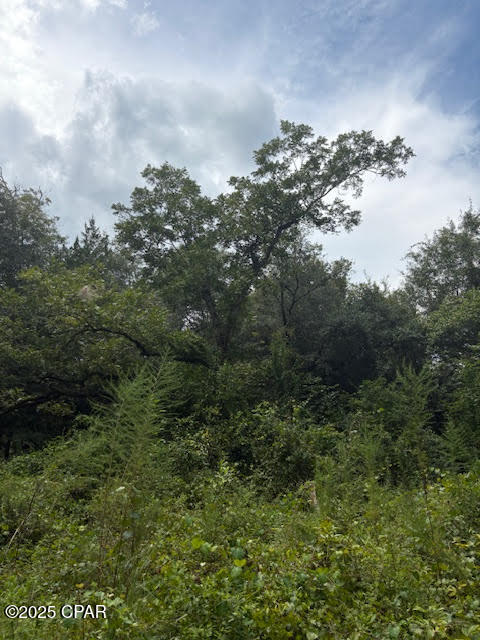 Image 52 For 4600 Pine Grove Church Road