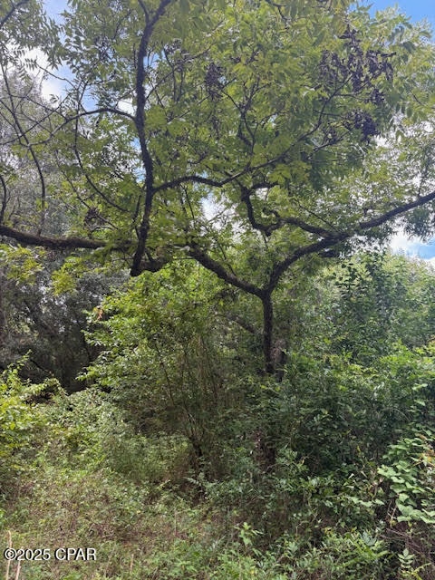 Image 53 For 4600 Pine Grove Church Road