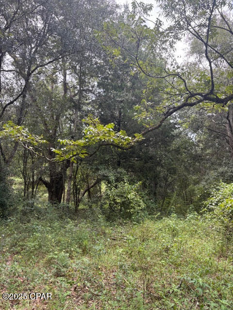 Image 54 For 4600 Pine Grove Church Road