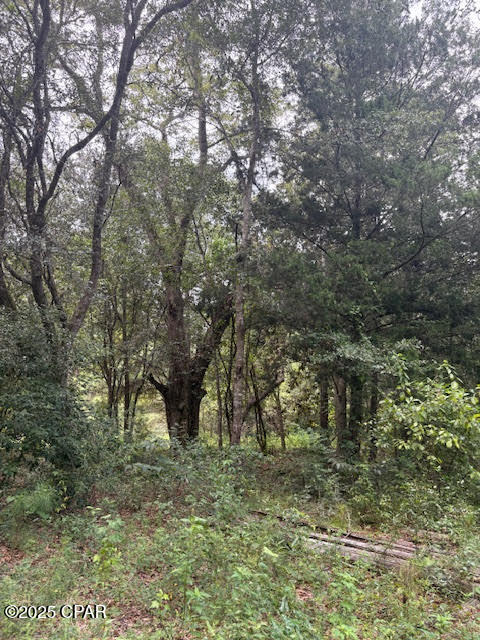 Image 55 For 4600 Pine Grove Church Road