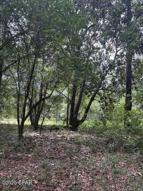 Image 59 For 4600 Pine Grove Church Road