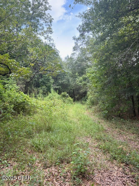 Image 60 For 4600 Pine Grove Church Road