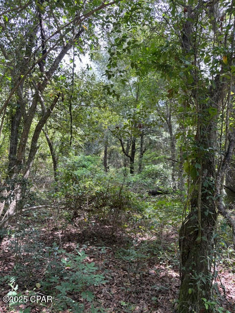 Image 8 For 4600 Pine Grove Church Road