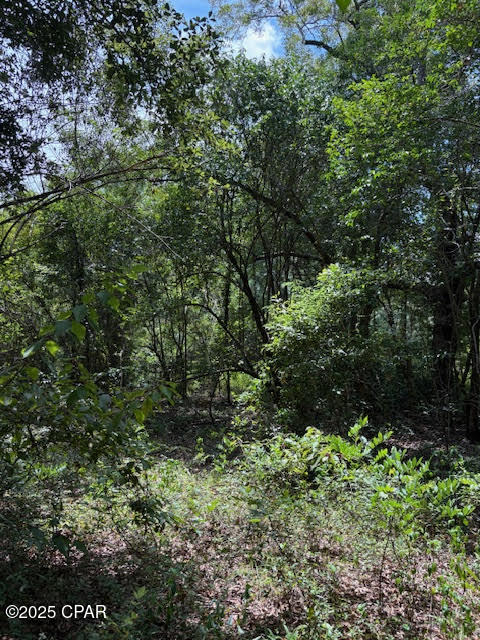 Image 9 For 4600 Pine Grove Church Road