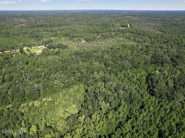 Homes for sale in Caryville, FL | 00 St Mary Rd, Caryville, FL 32427 | MLS# 778240