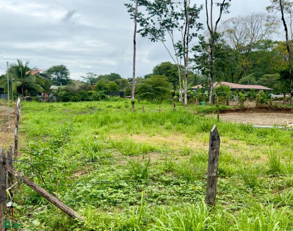0 bed Land For Sale in Osa, Puntarenas - 1