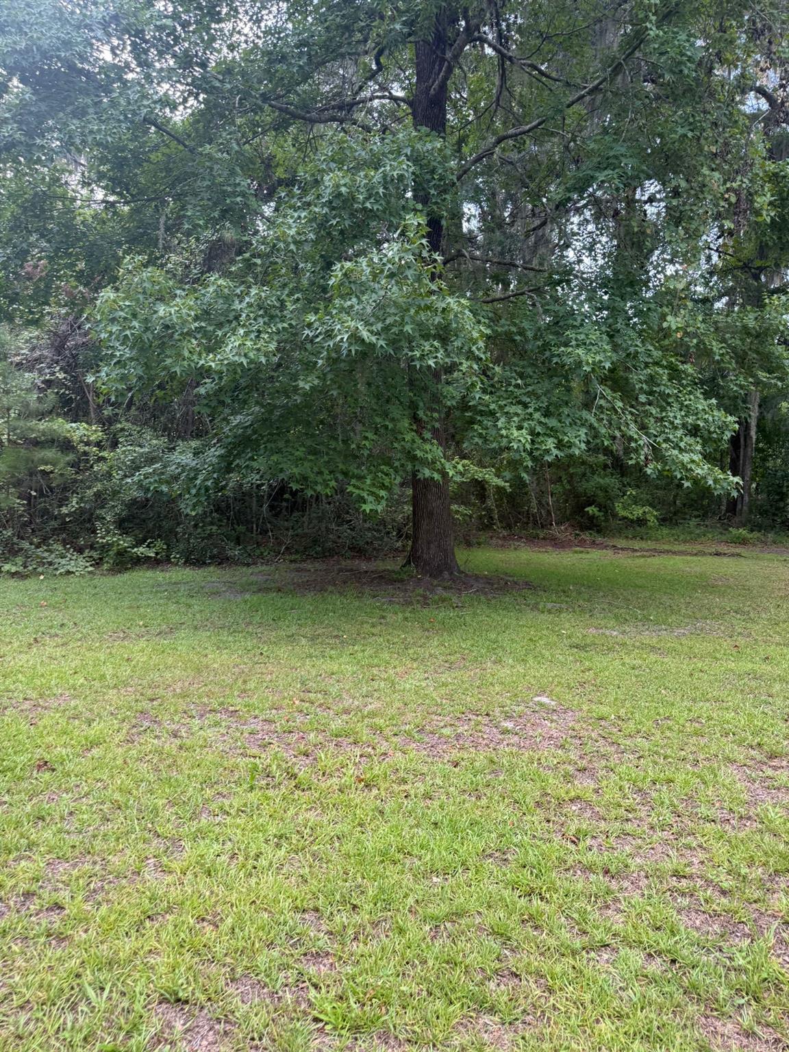 Homes for sale in Lake City, FL | 0 Ne Katrina Gln, Lake City, FL 32055 | MLS# F10523873