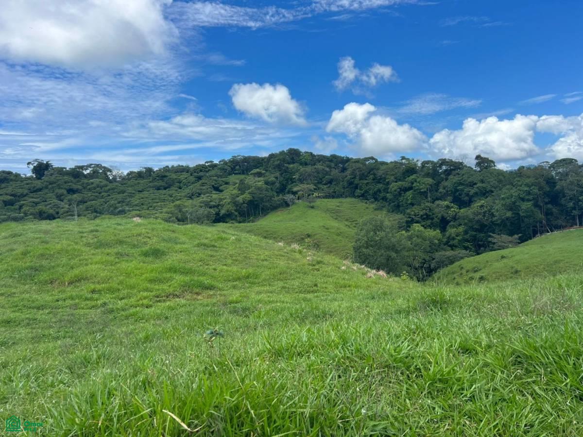 0 bed Land For Sale in Perez Zeledon, San Jose - 1