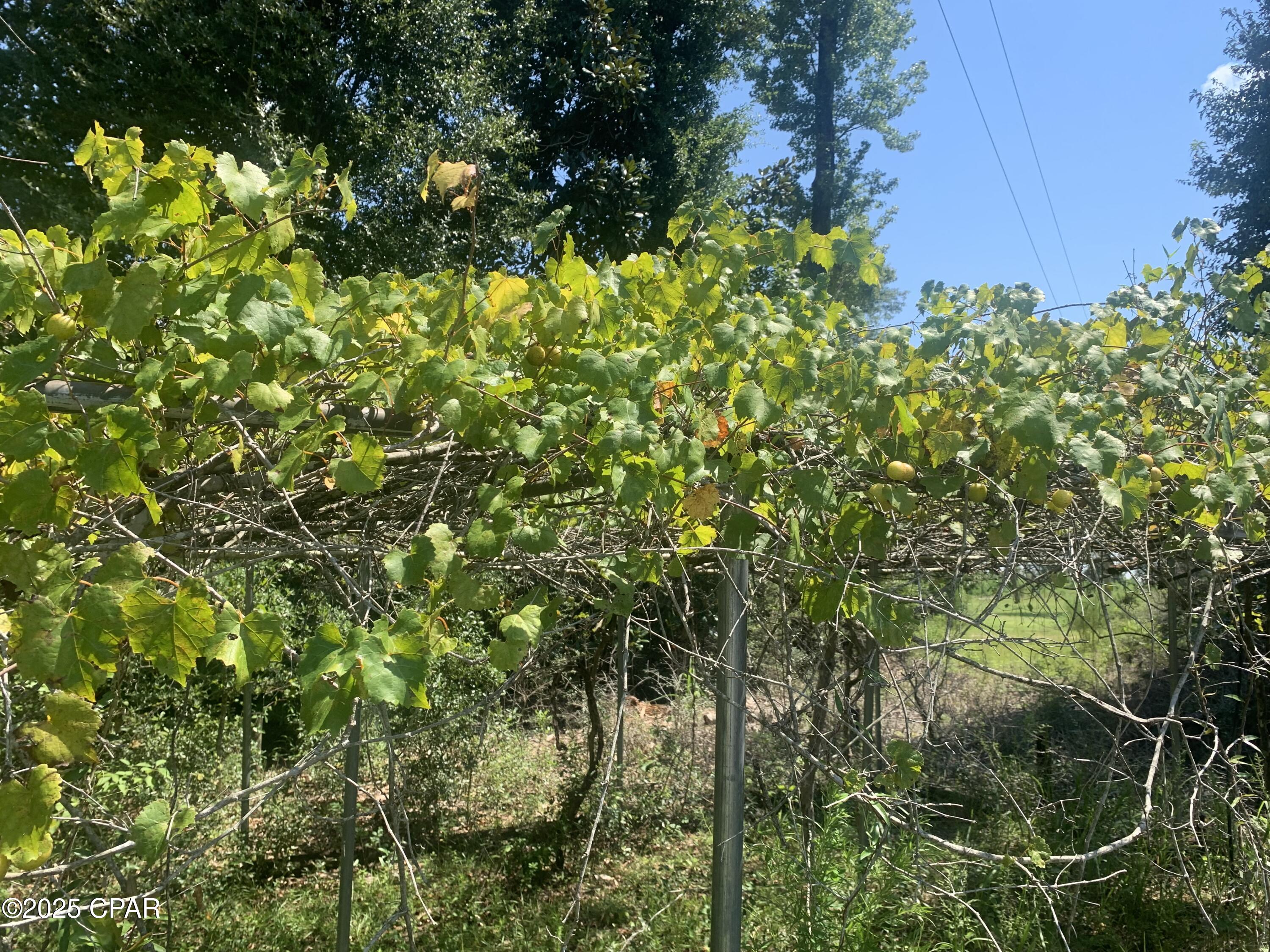 Image 43 For 13537 Missy Lane