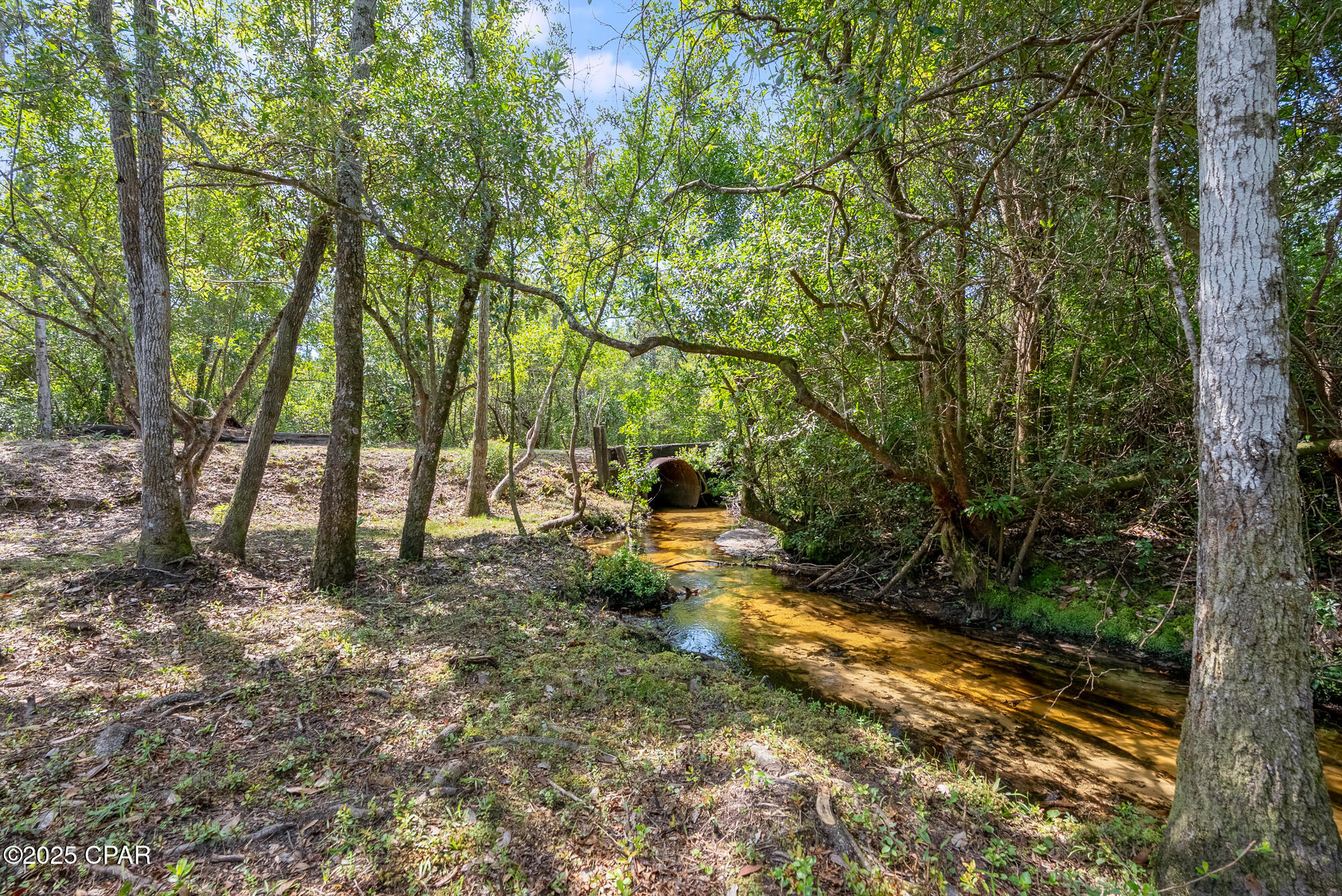 Image 40 For 20144 Whitewater Grade Road