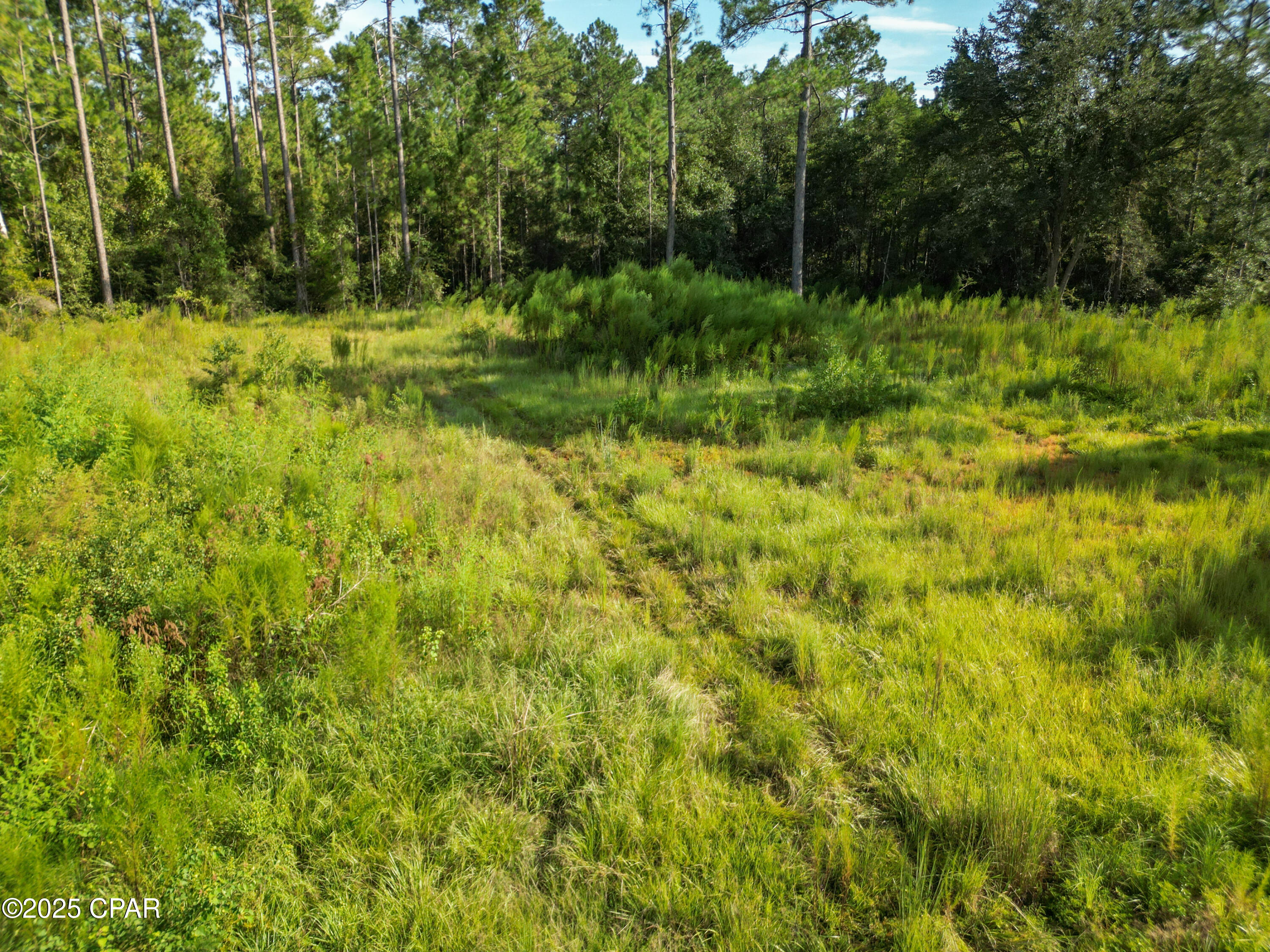 Image 17 For 4477 Cypress Crossing Road