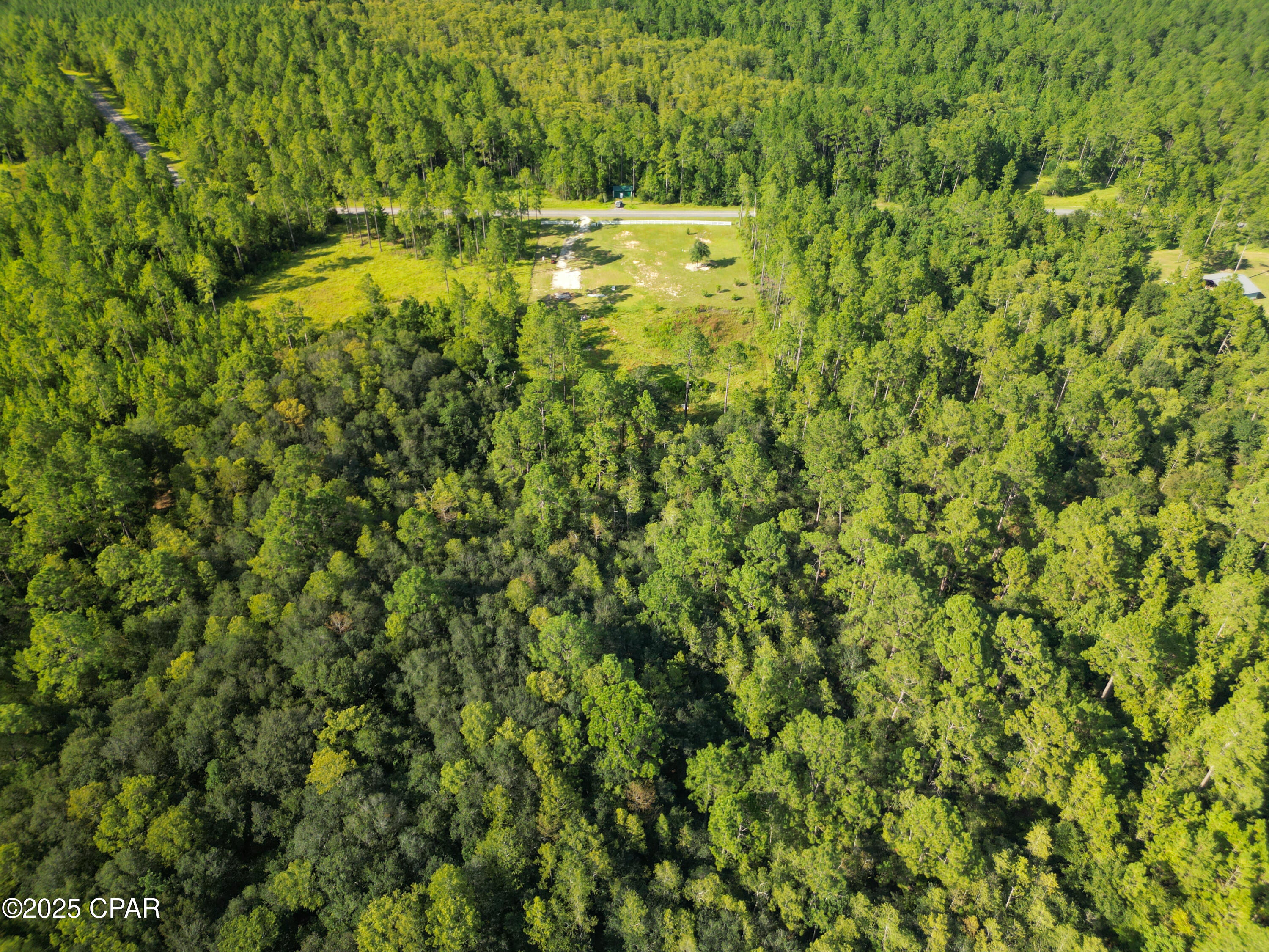 Image 7 For 4477 Cypress Crossing Road