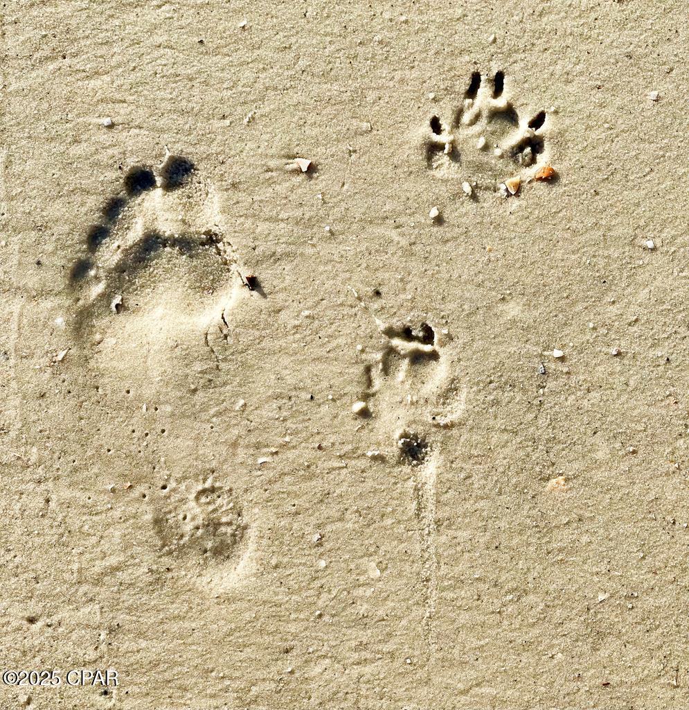 Image 20 For 528 Windmark Way