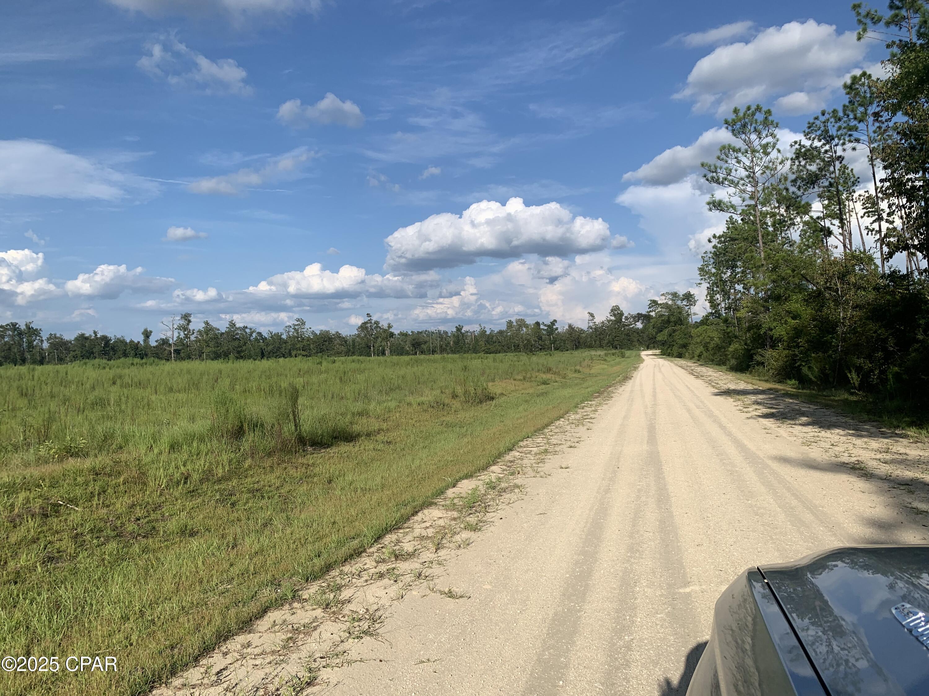 Details for 0000 Missy Lane, Clarksville, FL 32430