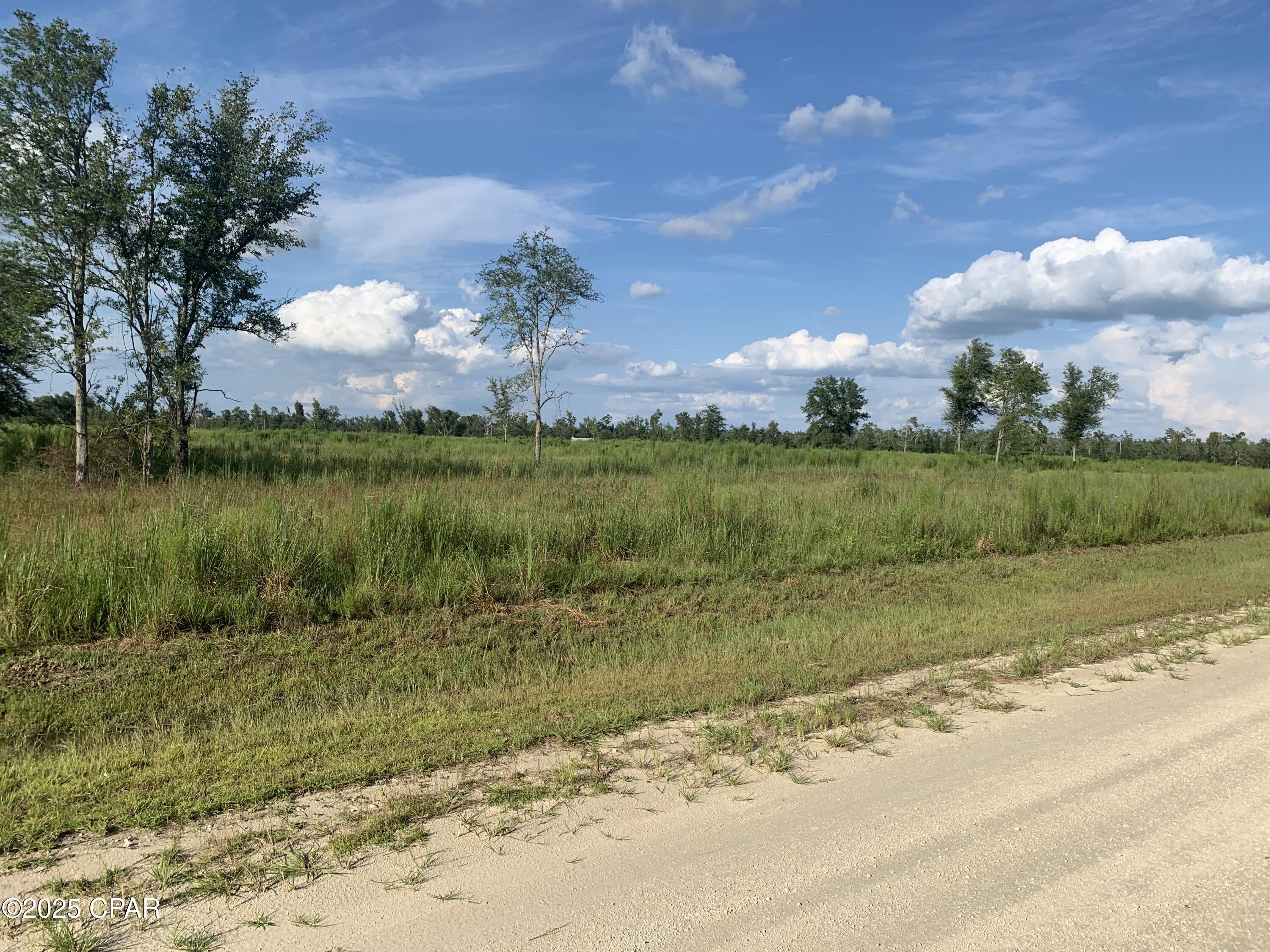 Homes for sale in Clarksville, FL | 0000 Missy Ln, Clarksville, FL 32430 | MLS# 778328