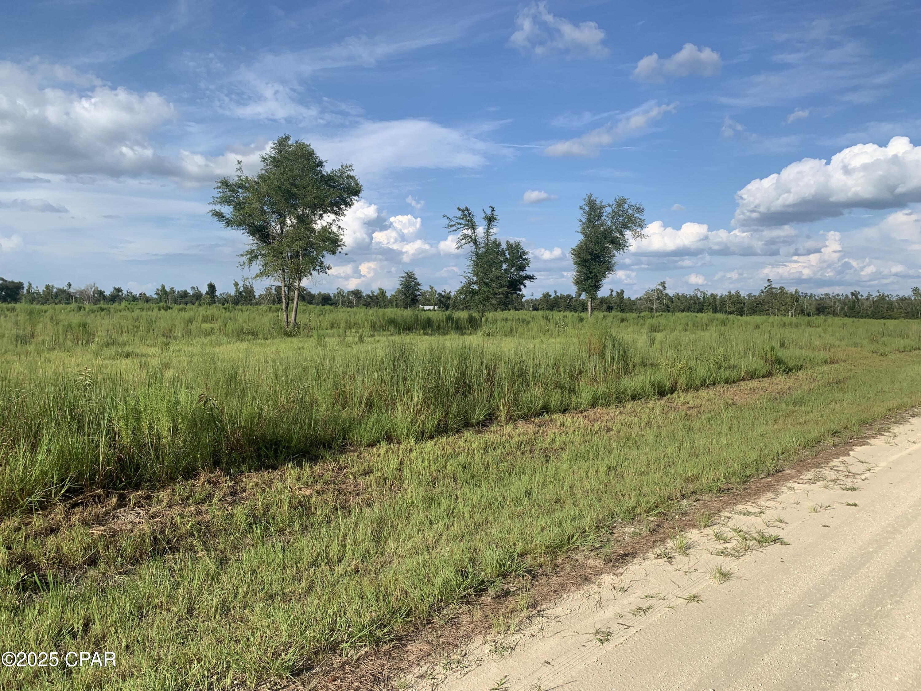 Homes for sale in Clarksville, FL | 0000 Missy Ln, Clarksville, FL 32430 | MLS# 778328