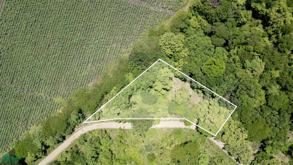 0 bed Land For Sale in Carrillo, Guanacaste - 1