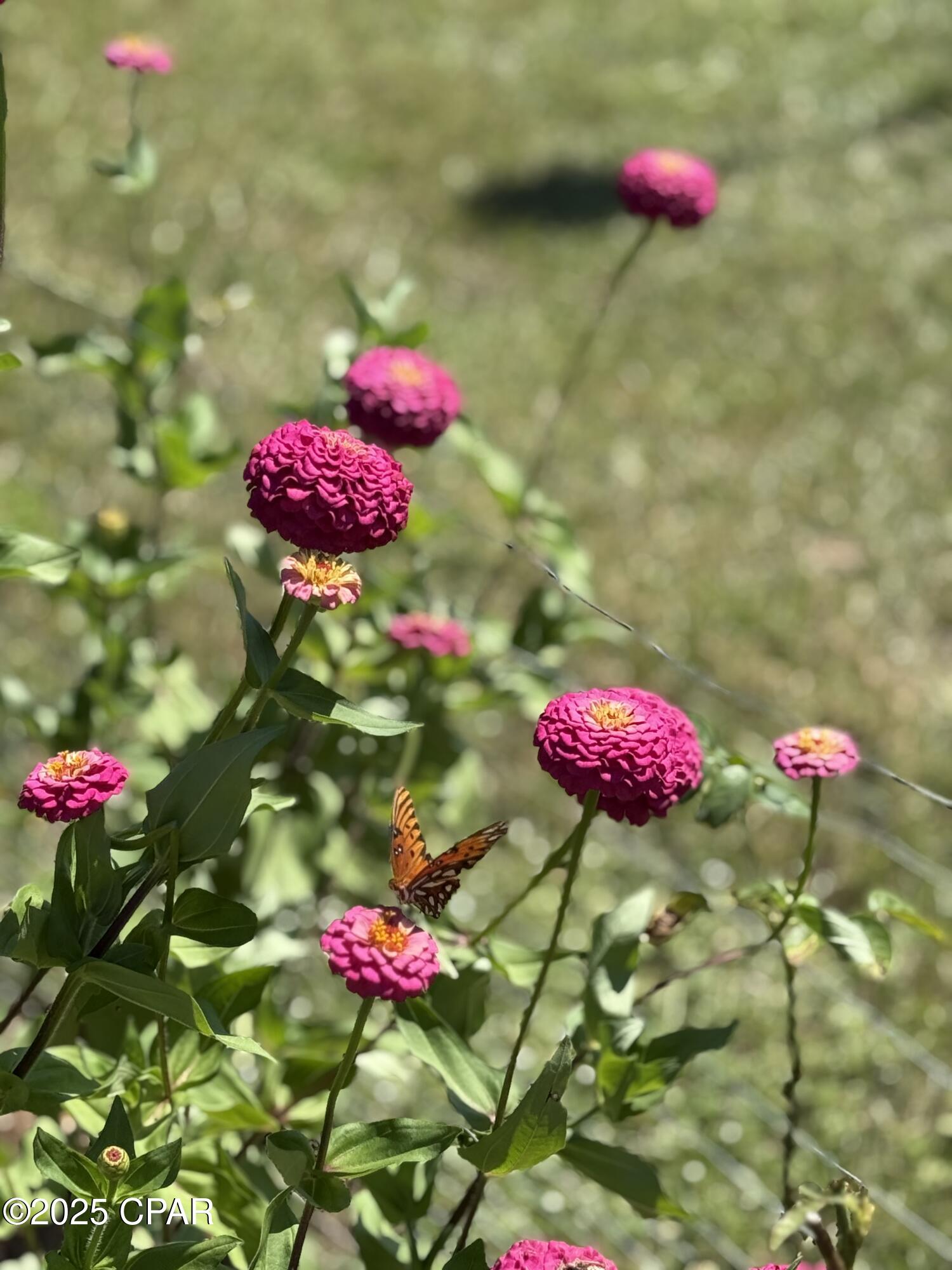 Image 27 For 3380 Caverns Road