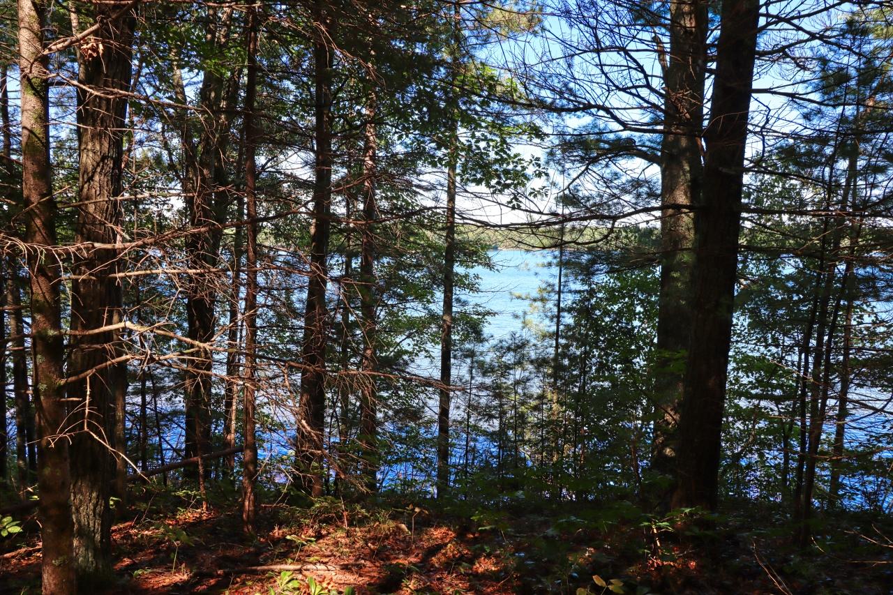 Plummer Lake lot picture