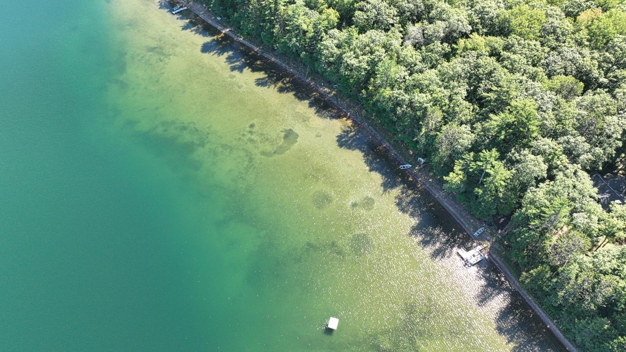 Plummer Lake Property 12194 Plummer Lake Ln S Photo 14