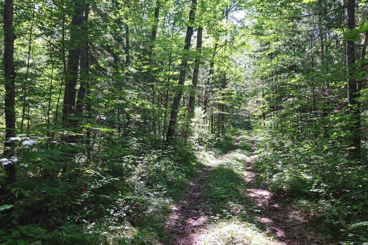 Plummer Lake Property 12194 Plummer Lake Ln S Photo 22