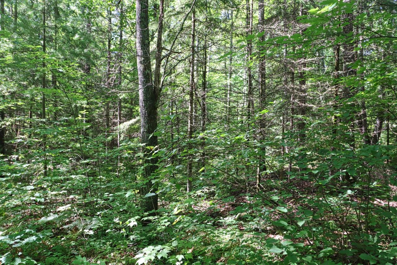 Plummer Lake Property 12194 Plummer Lake Ln S Photo 23