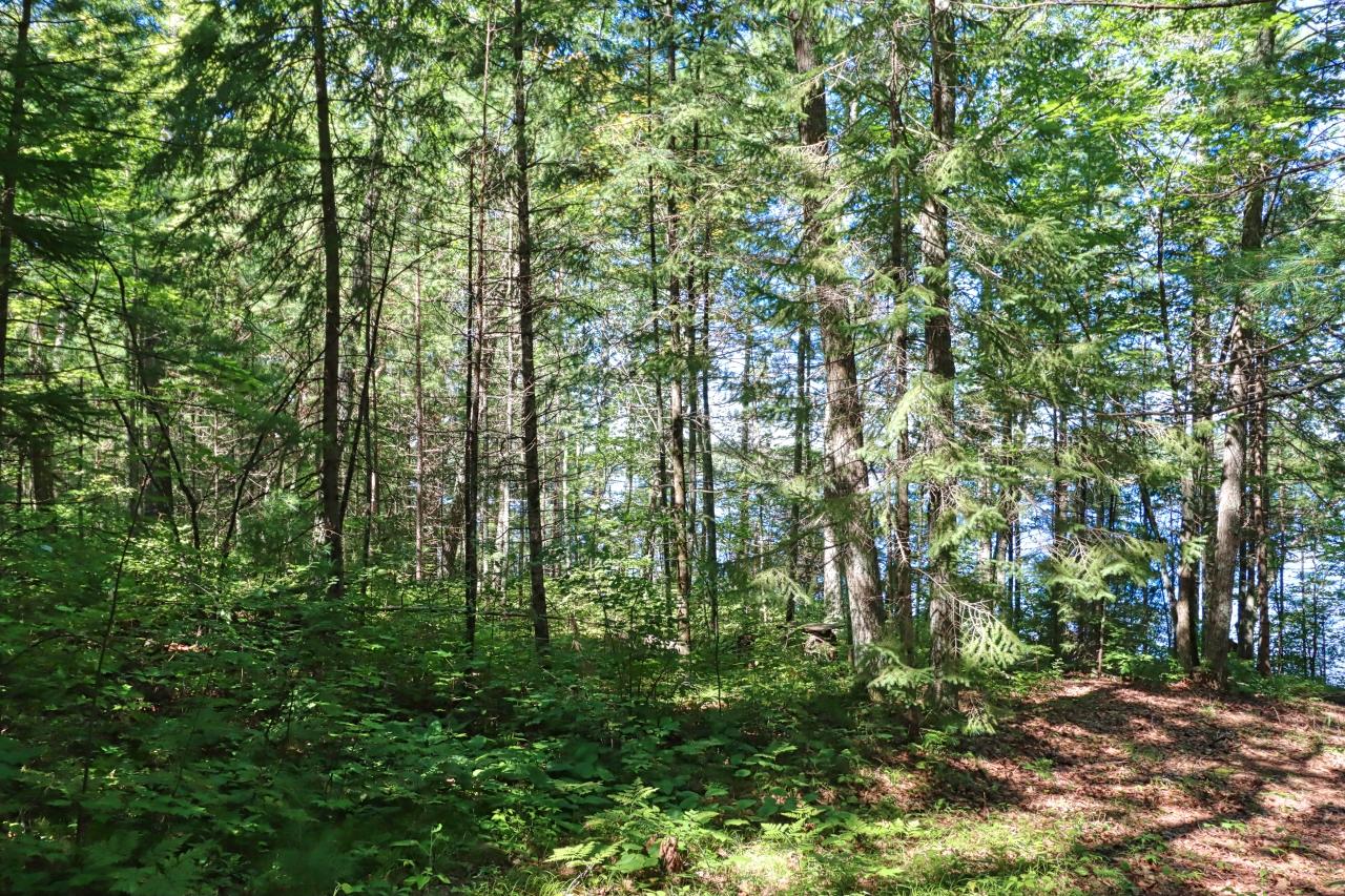 Plummer Lake Property 12194 Plummer Lake Ln S Photo 24