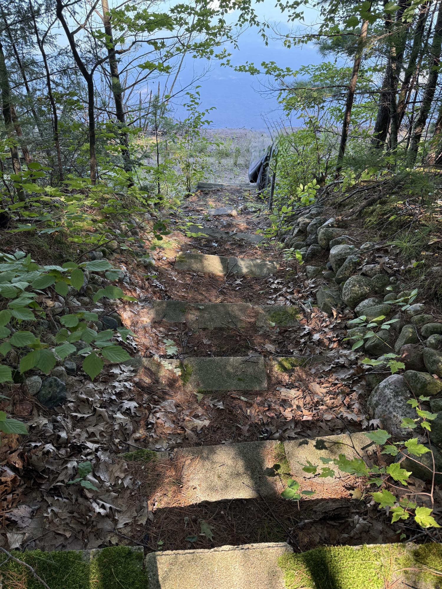 Plummer Lake Property 12194 Plummer Lake Ln S Photo 3