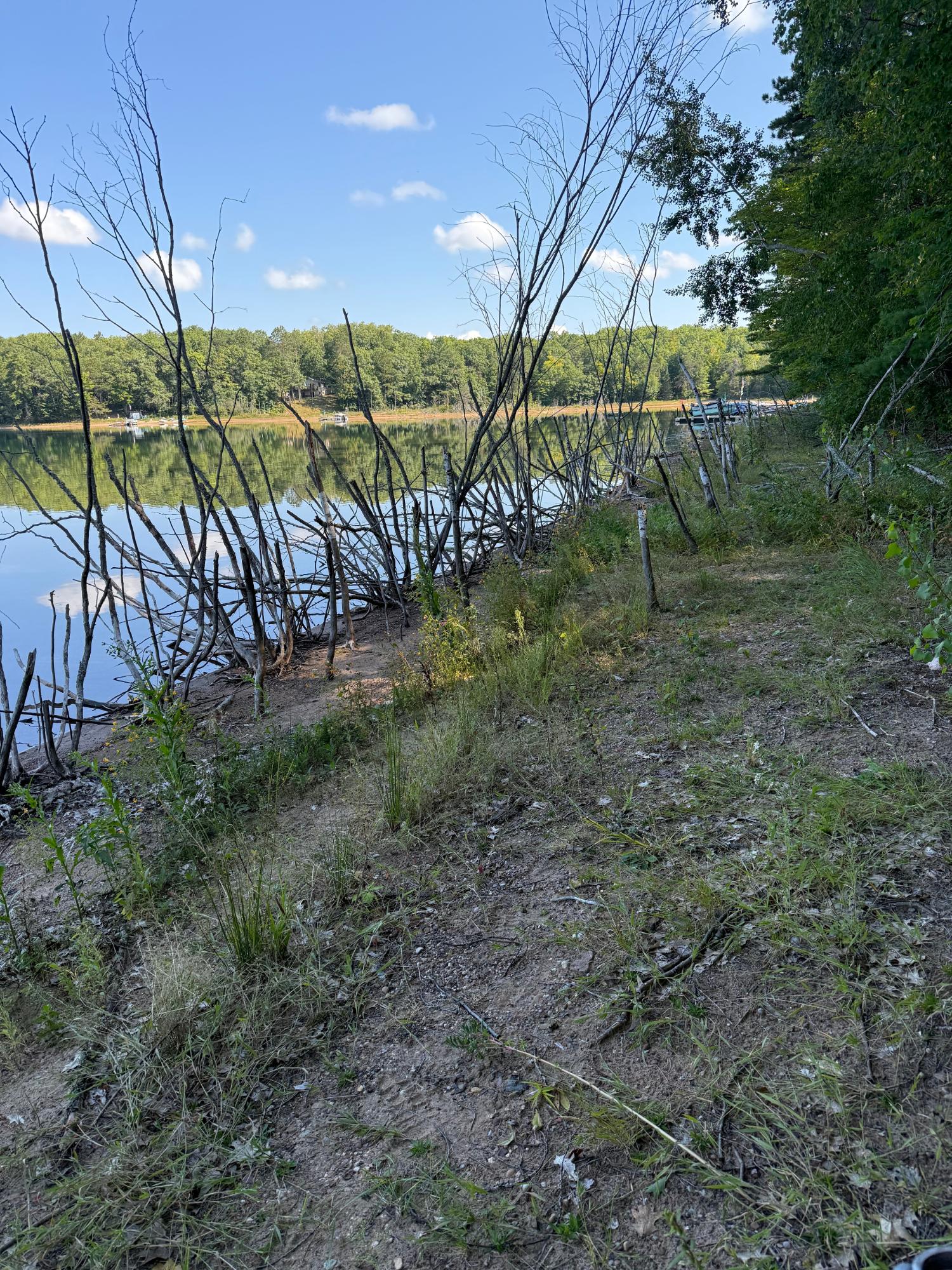 Plummer Lake Property 12194 Plummer Lake Ln S Photo 5