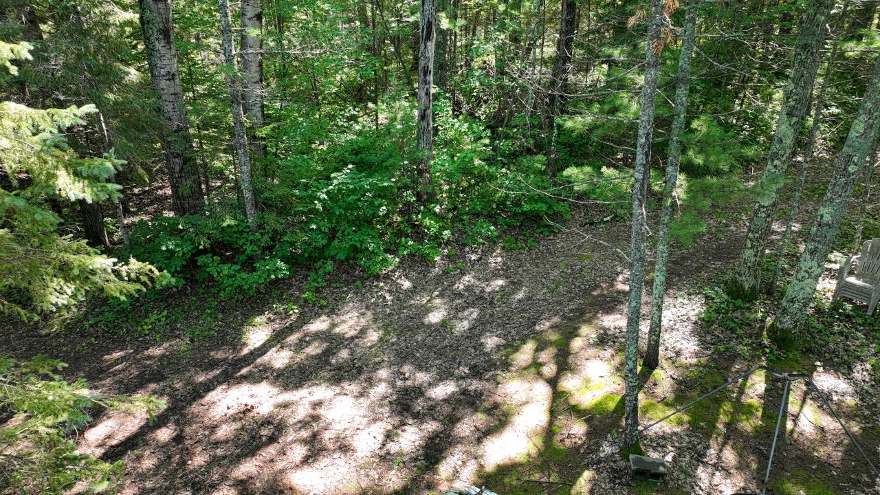 Plummer Lake Property 12194 Plummer Lake Ln S Photo 8