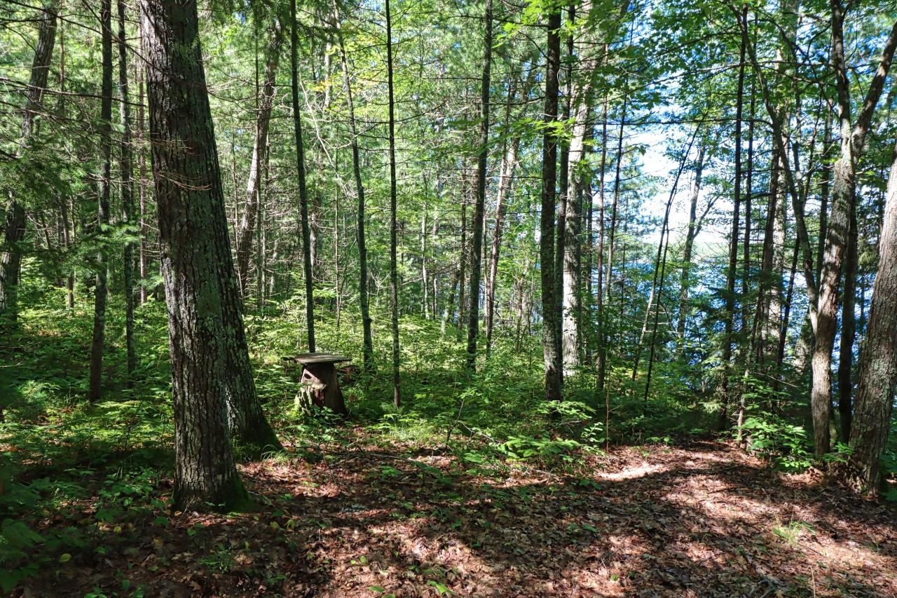 Plummer Lake Property 12194 Plummer Lake Ln S Photo 9