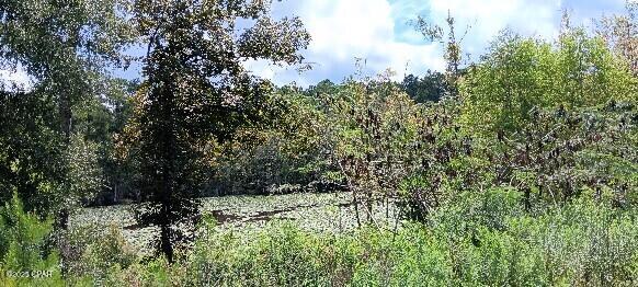 Image 4 For 2006 Posey Acres Road