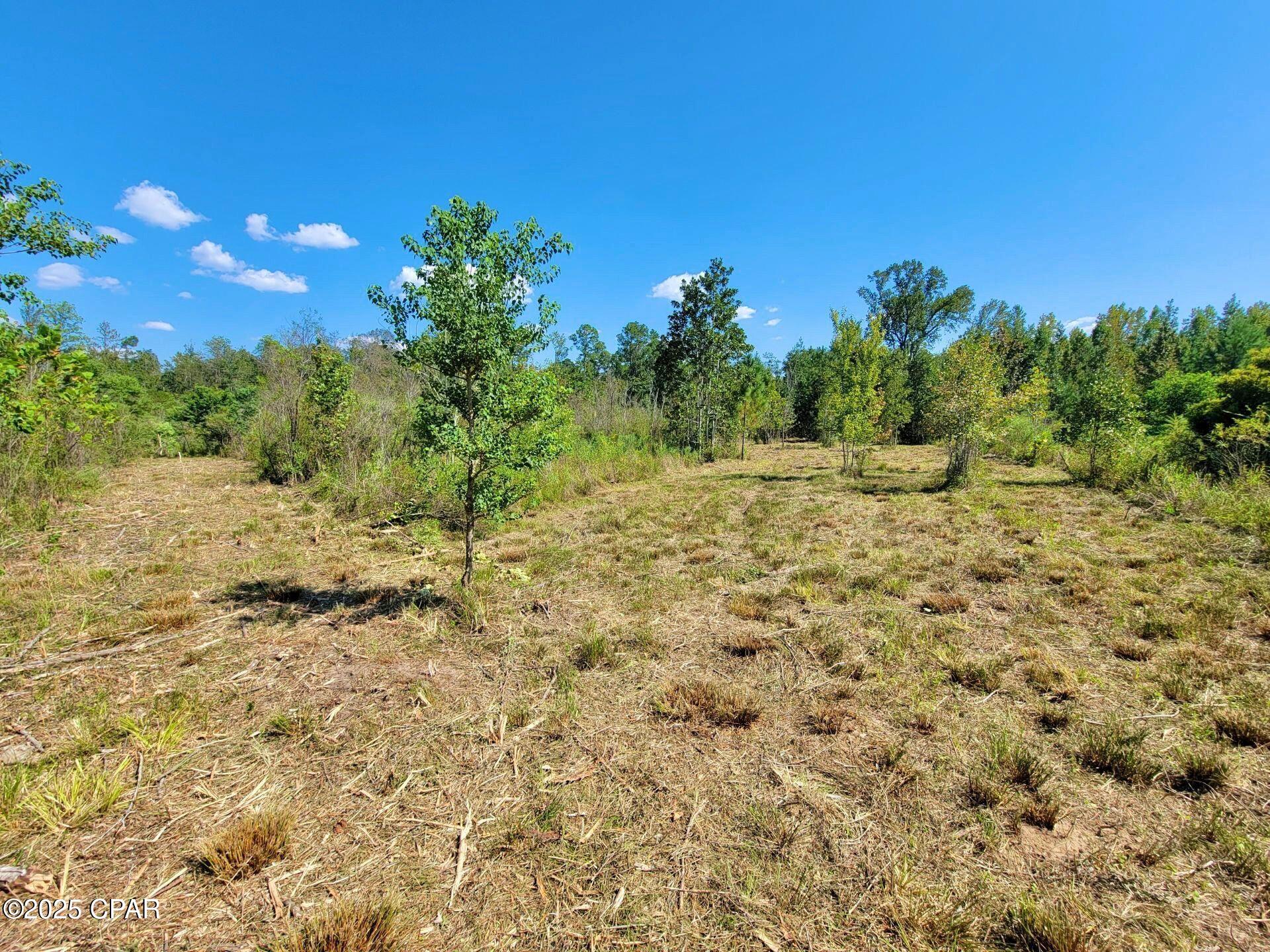 Image 3 For 0 Gilberts Mill Road