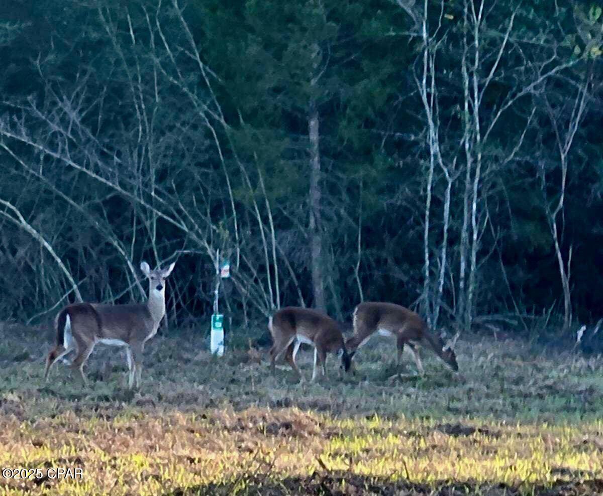 Image 5 For 0 Gilberts Mill Road