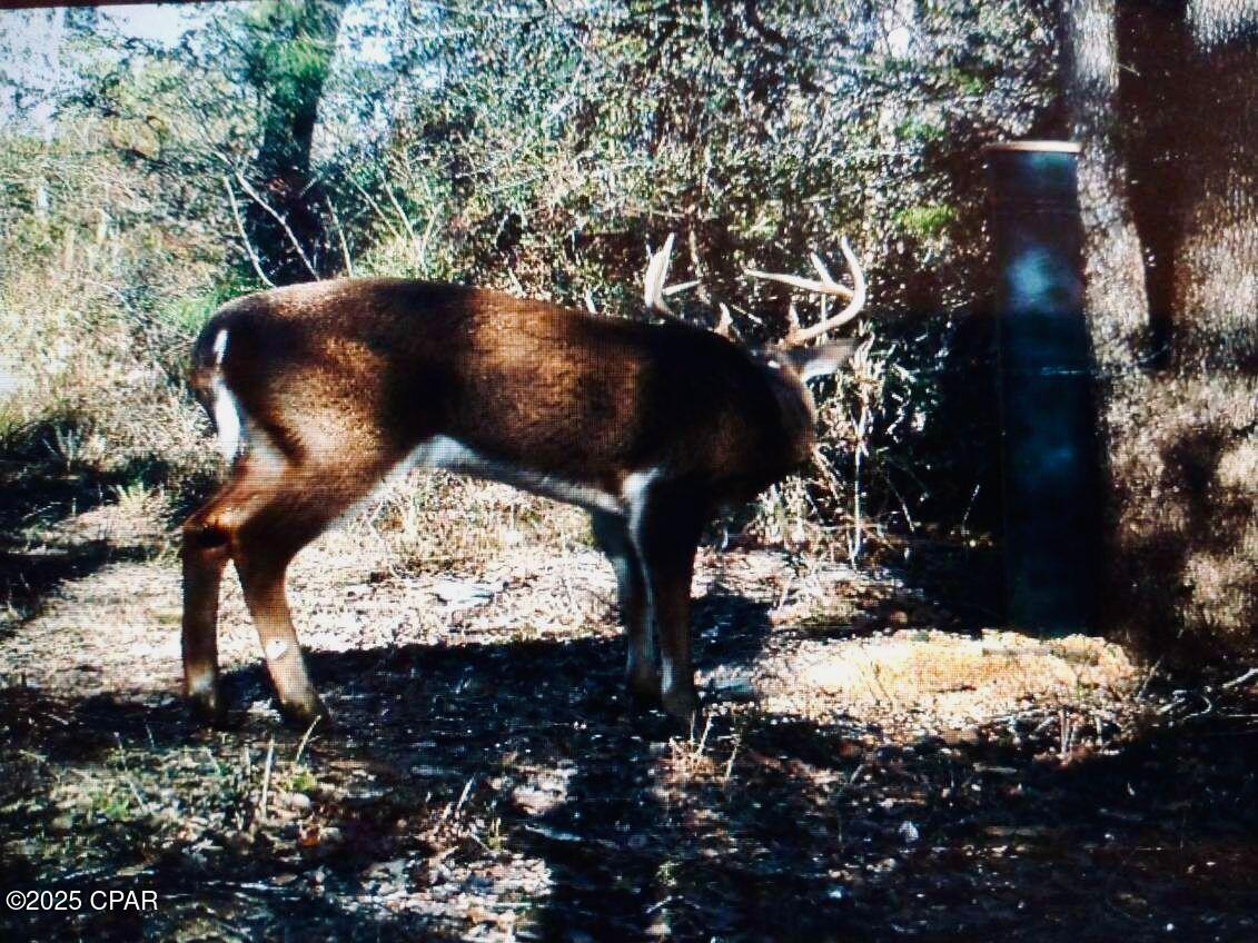 Image 6 For 0 Gilberts Mill Road