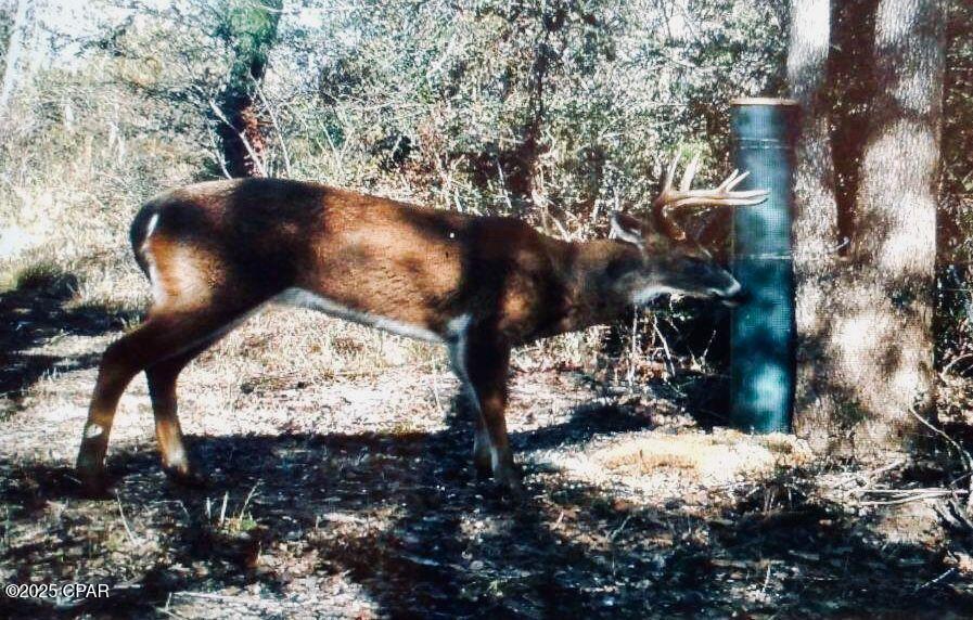 Image 7 For 0 Gilberts Mill Road