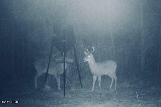 Image 8 For 0 Gilberts Mill Road