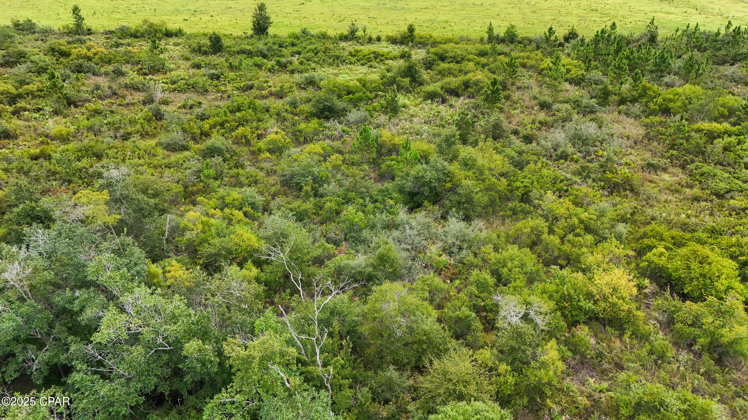 Image 10 For 0 Jarrott Daniels Road