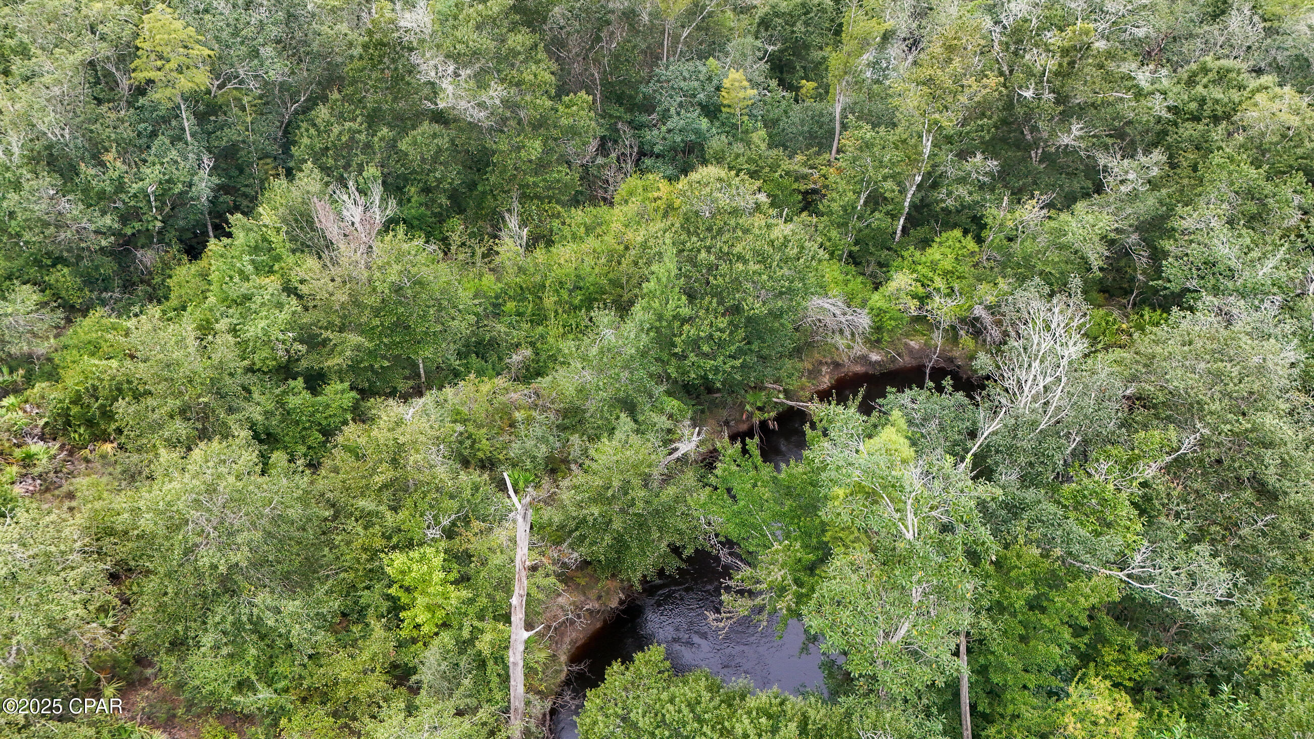 Image 13 For 0 Jarrott Daniels Road