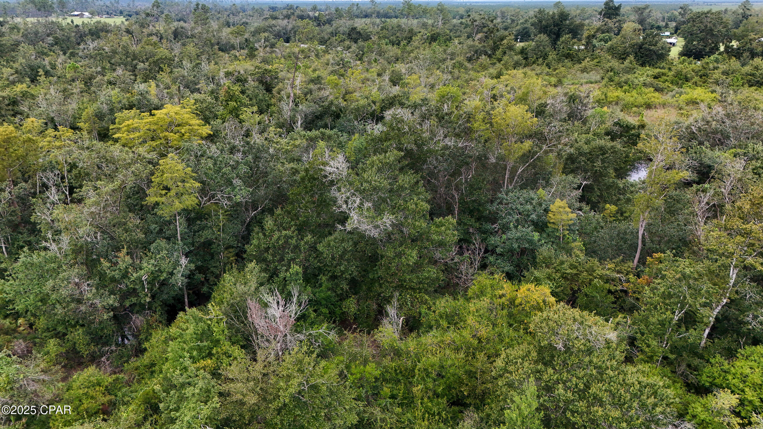 Image 14 For 0 Jarrott Daniels Road