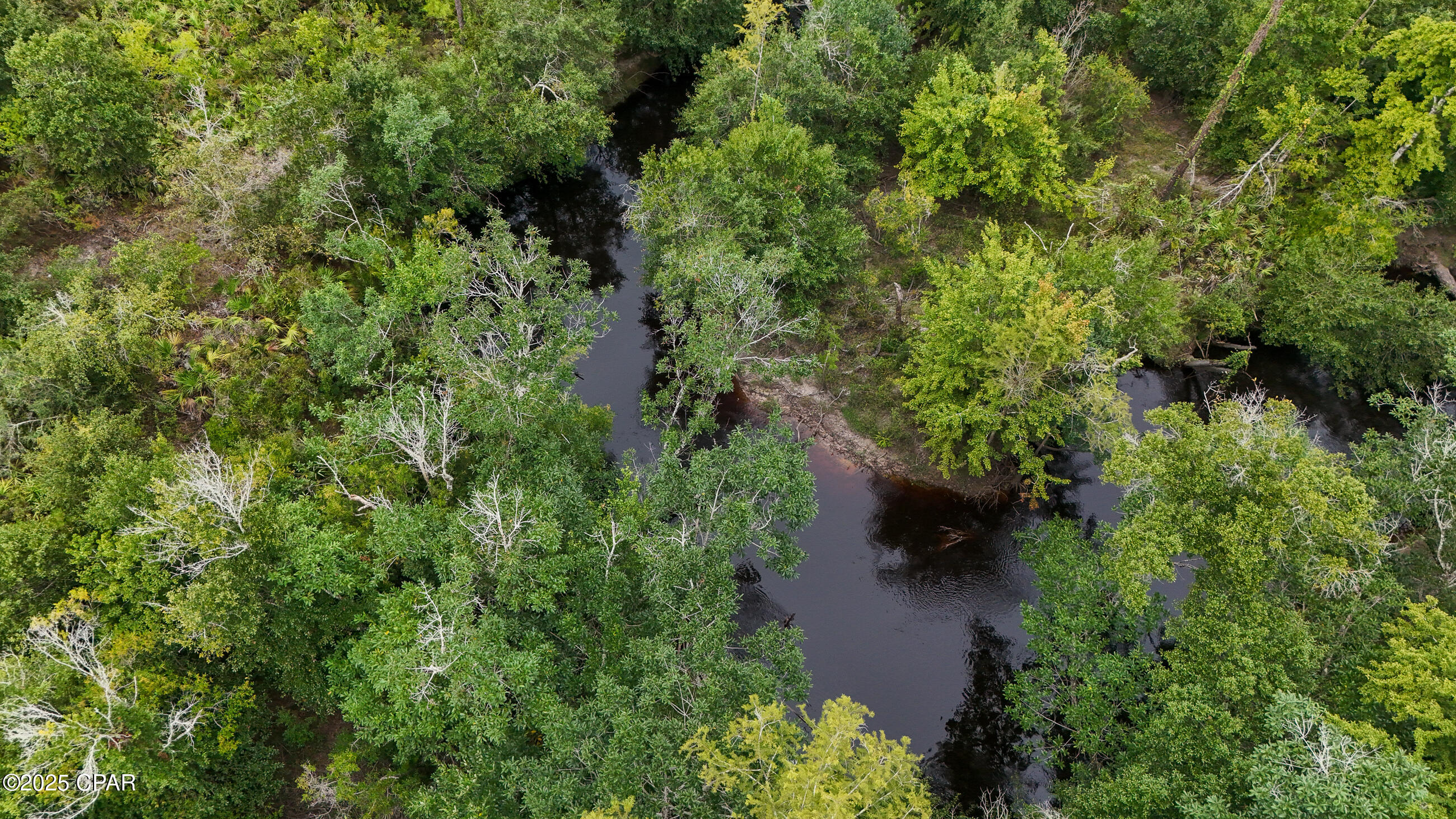 Image 15 For 0 Jarrott Daniels Road