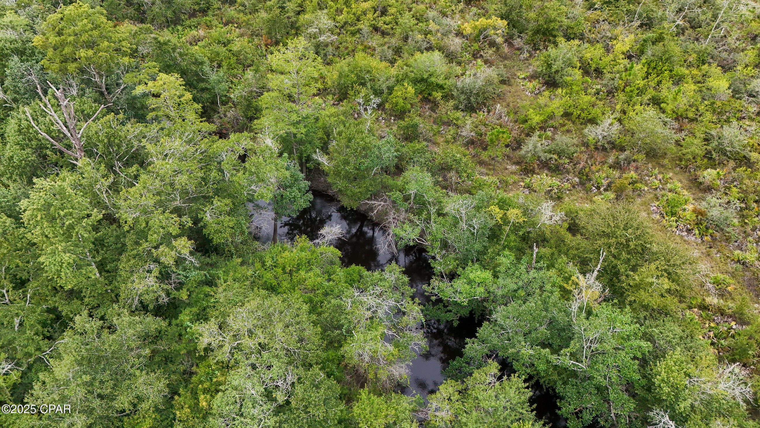 Image 16 For 0 Jarrott Daniels Road