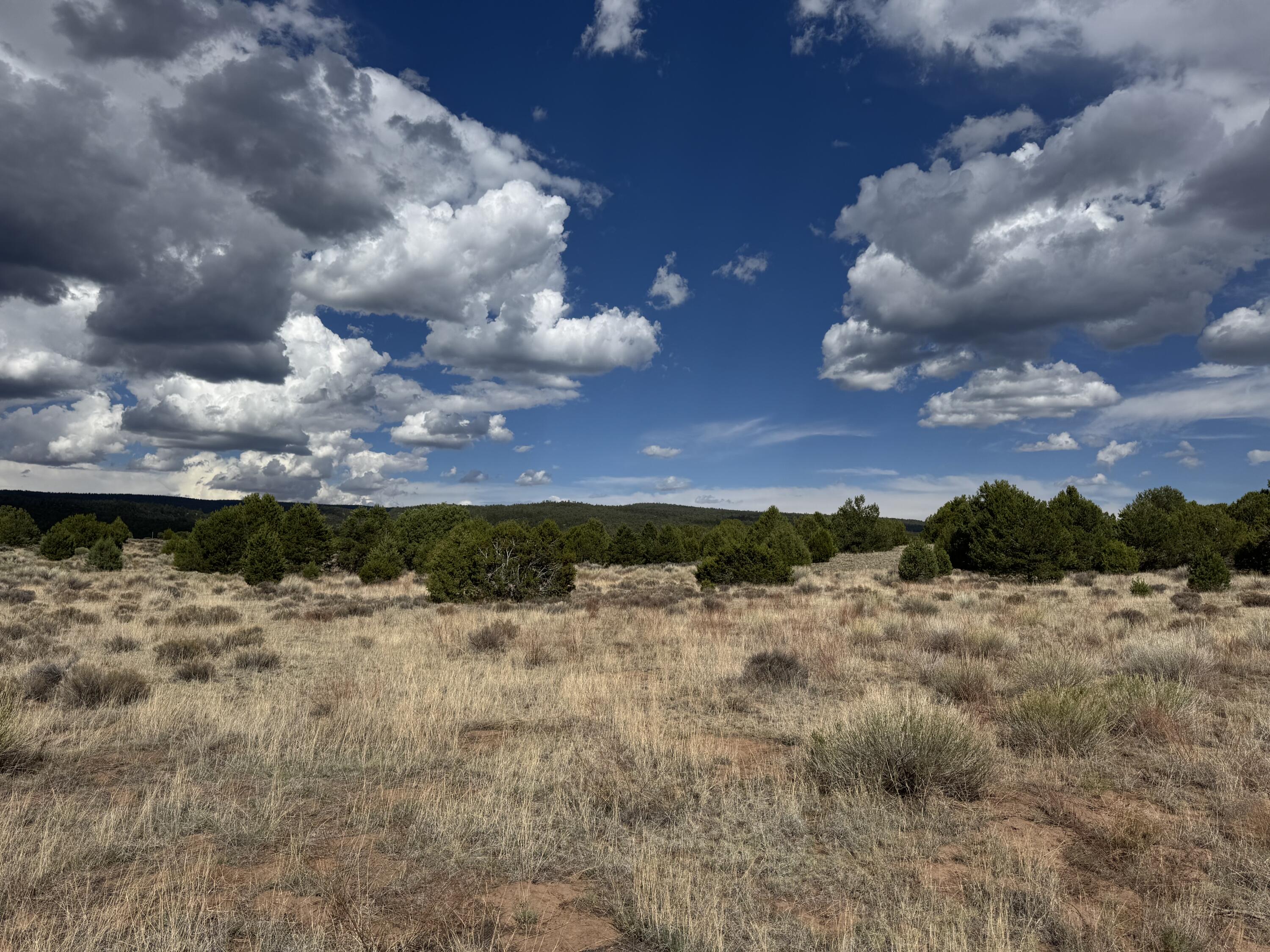 Homes for sale in Ramah, NM | Flora Ln, Ramah, NM 87321 | MLS# 1090708