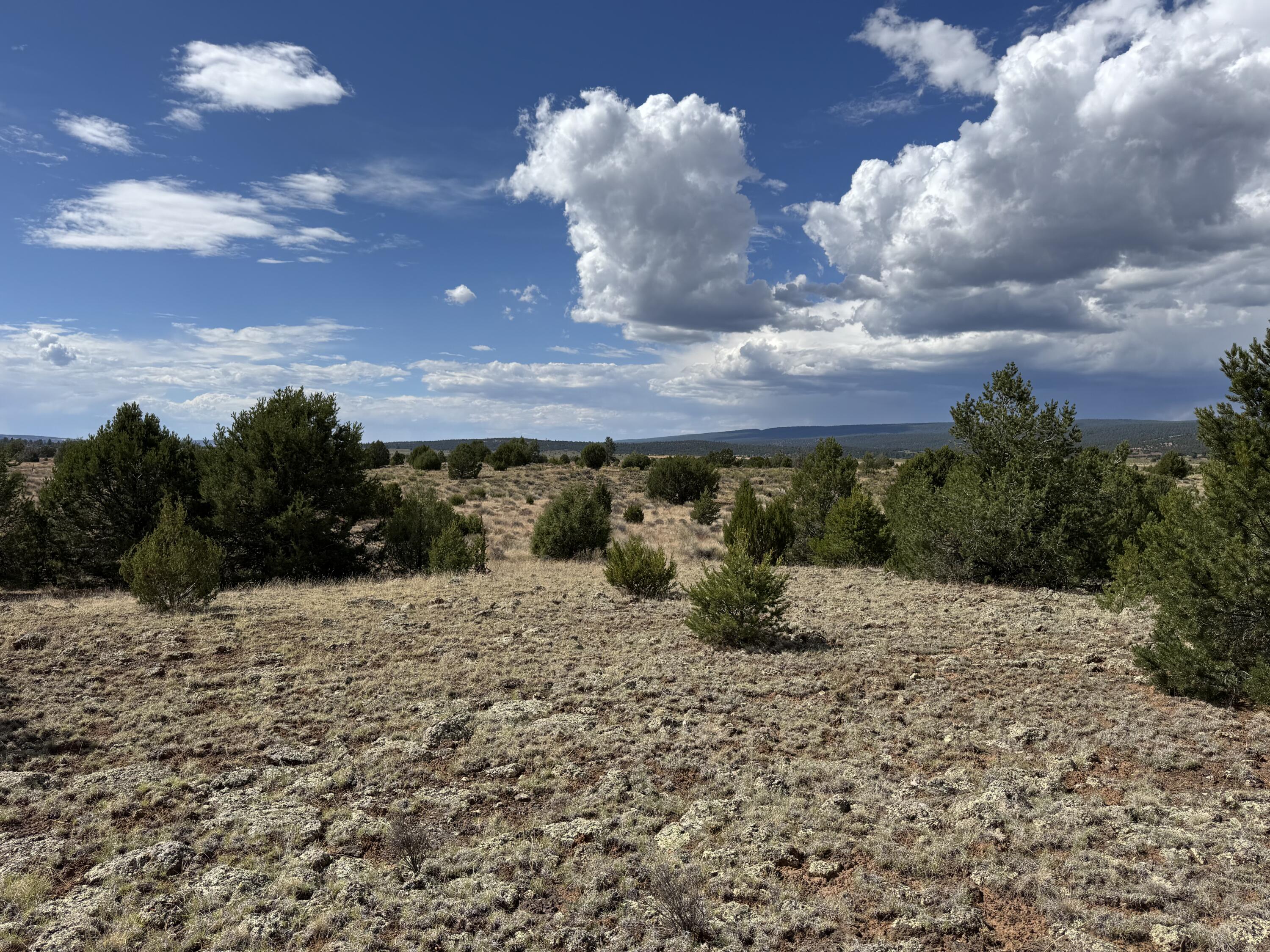 Homes for sale in Ramah, NM | Flora Ln, Ramah, NM 87321 | MLS# 1090708