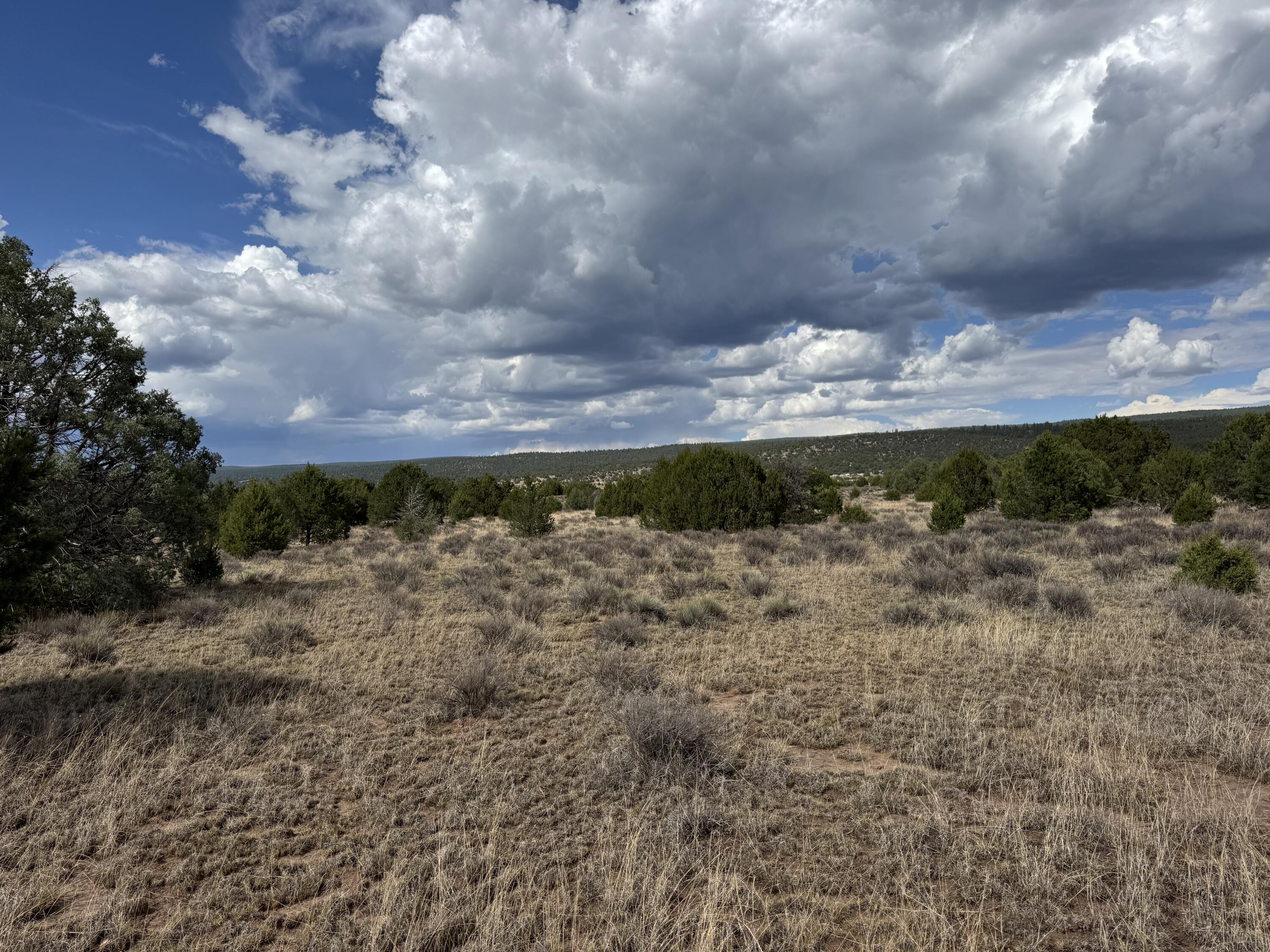 Homes for sale in Ramah, NM | Flora Ln, Ramah, NM 87321 | MLS# 1090708